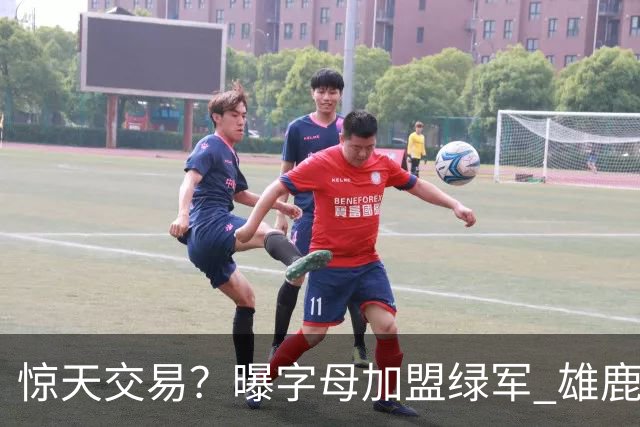 惊天交易？曝字母加盟绿军 雄鹿为布朗寻找第三方