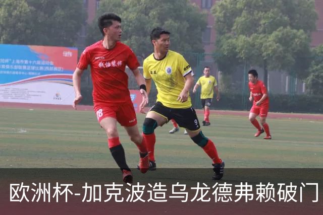 欧洲杯-加克波造乌龙德弗赖破门 荷兰2-1土耳其